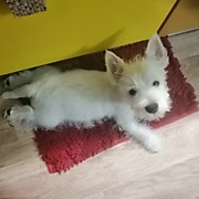 Семчик ))) 