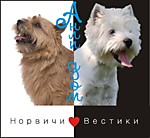 Стандарт № 72 Норвич